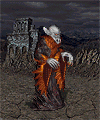 Wampirzy lord